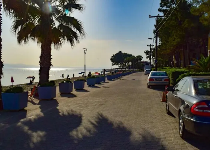 Vakantiehuis Zoli House